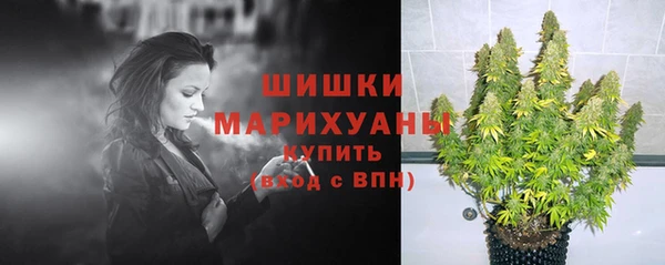 ешки Арсеньев