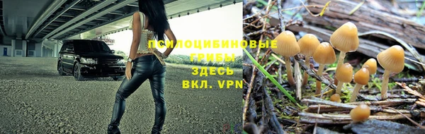 эйфоретик Аркадак