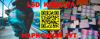 крисы Аргун