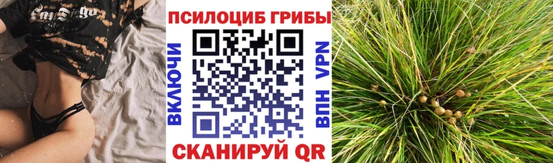 Псилоцибиновые грибы мухоморы  наркота  Аша 