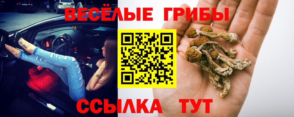 Галлюциногенные грибы прущие грибы  Вход с VPN  Аша 