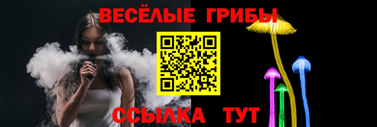 Галлюциногенные грибы Psilocybe Аша